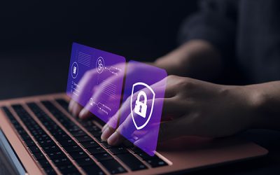 Why Update Software When New Upgrades Arrive?